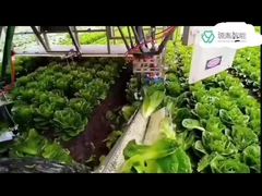 Сверхмощные системы руки робота Kuka для роботов ПЕРЕПАДА KR в регуляции упаковывая руки 7 Dof